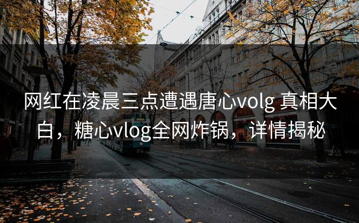 网红在凌晨三点遭遇唐心volg 真相大白，糖心vlog全网炸锅，详情揭秘