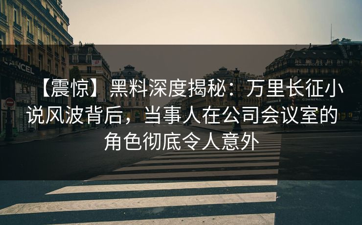 【震惊】黑料深度揭秘：万里长征小说风波背后，当事人在公司会议室的角色彻底令人意外